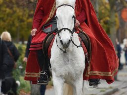 Sint-Maartenviering 2025